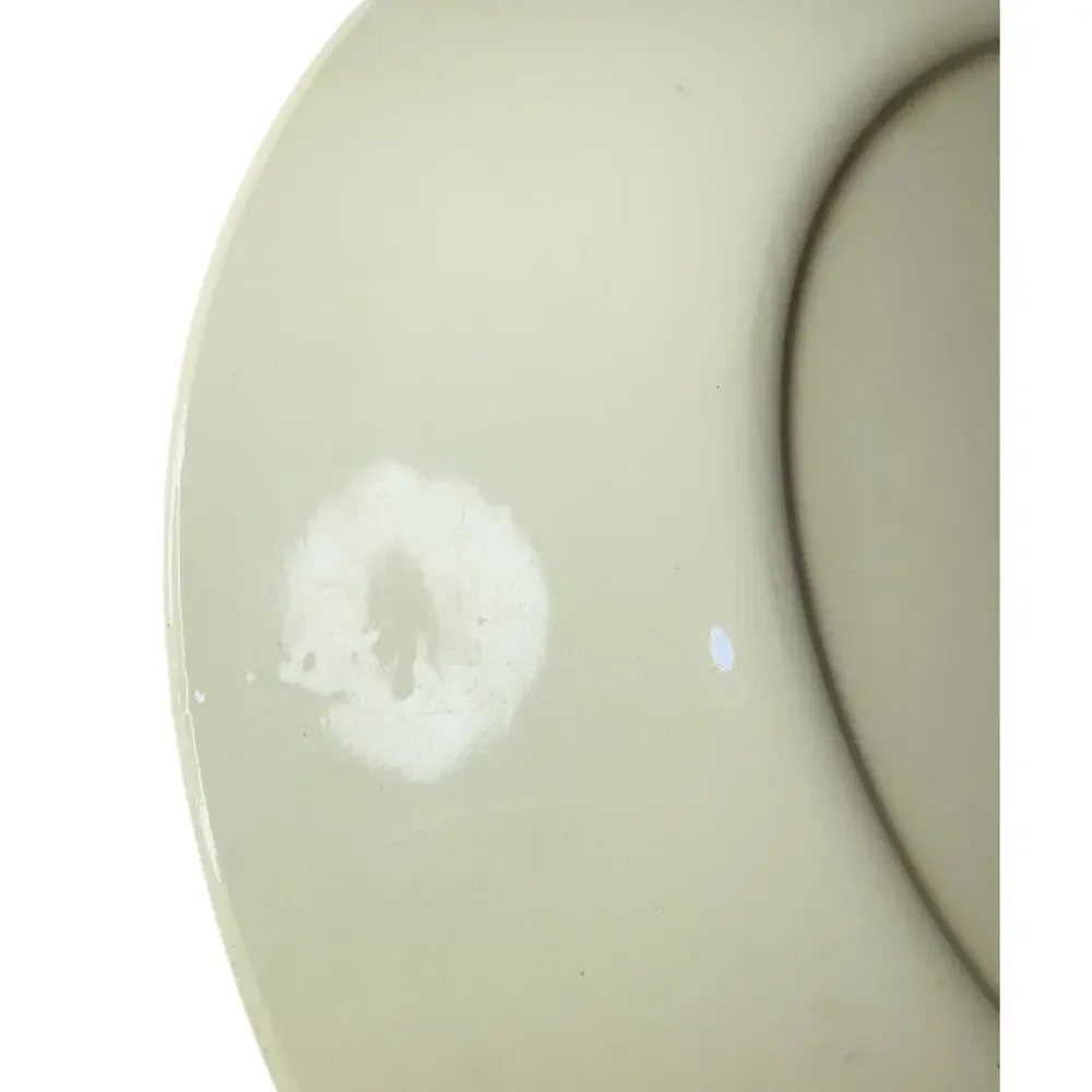 Floral Ceramic Dinner Plate 9.5